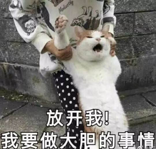 c8758ae31db541d2aa9073fb582c709e.jpeg
