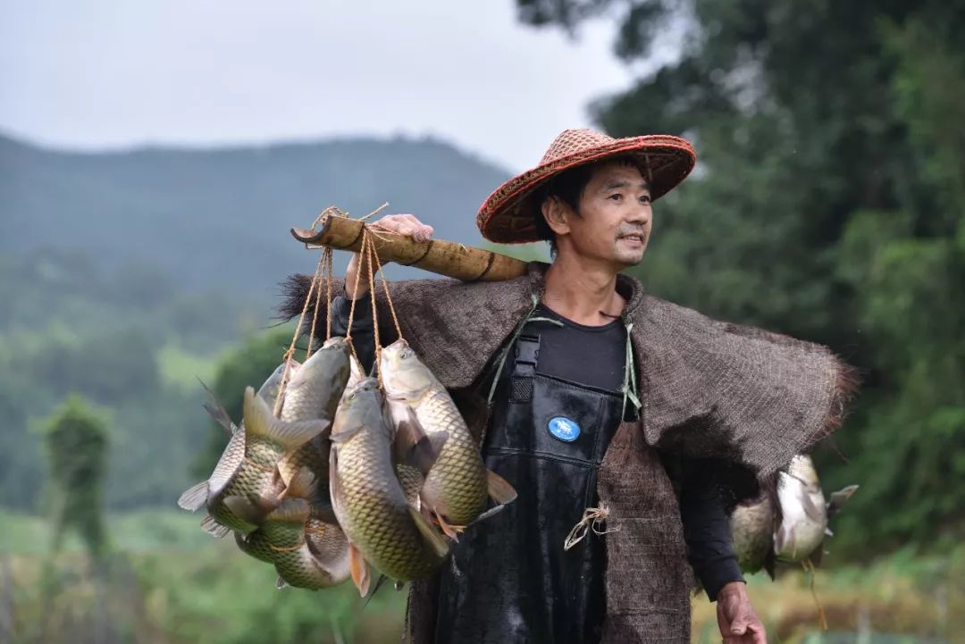 走到建瓯赏弓鱼去