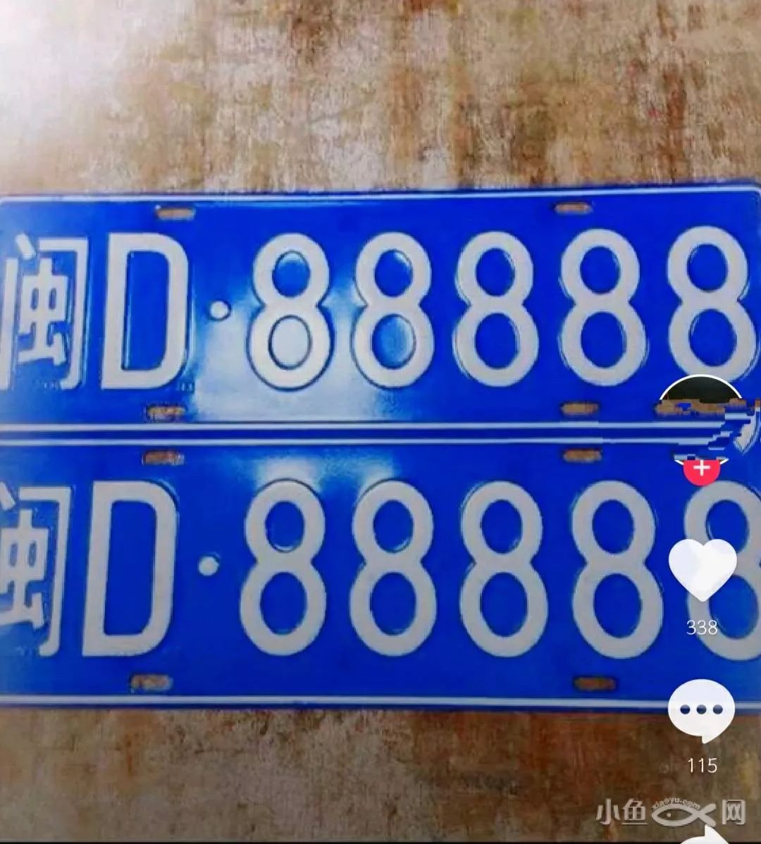 这车牌能在厦门买套房了吧?网友回复:我闽cxxx说什么了吗?