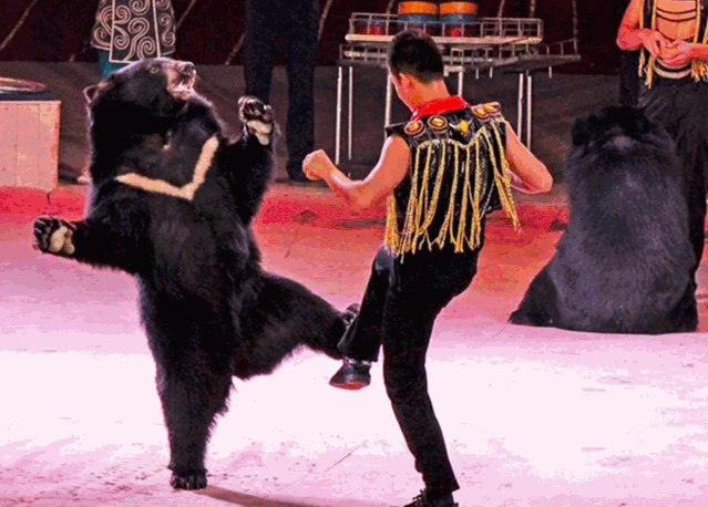 周二至周五门票