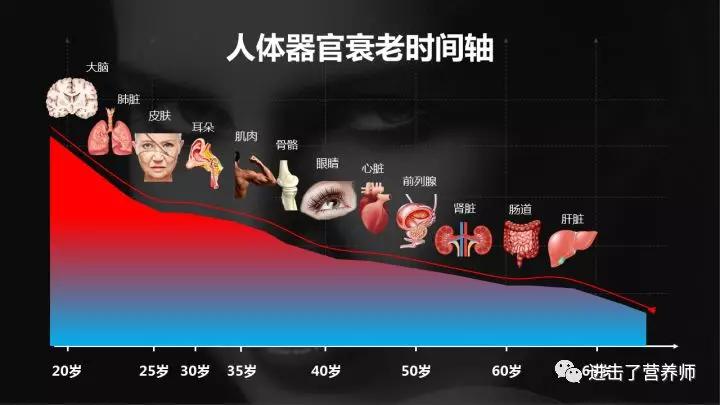 原文是很长的,弄成一个衰老时间轴,并以器官的图片来排列,给人的感觉