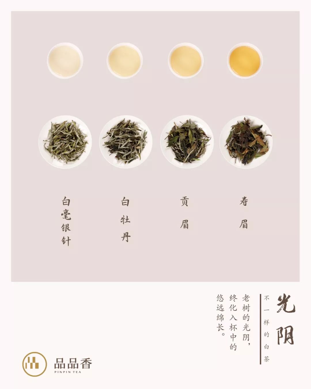 岁月是不可轻言的厚重老树白茶