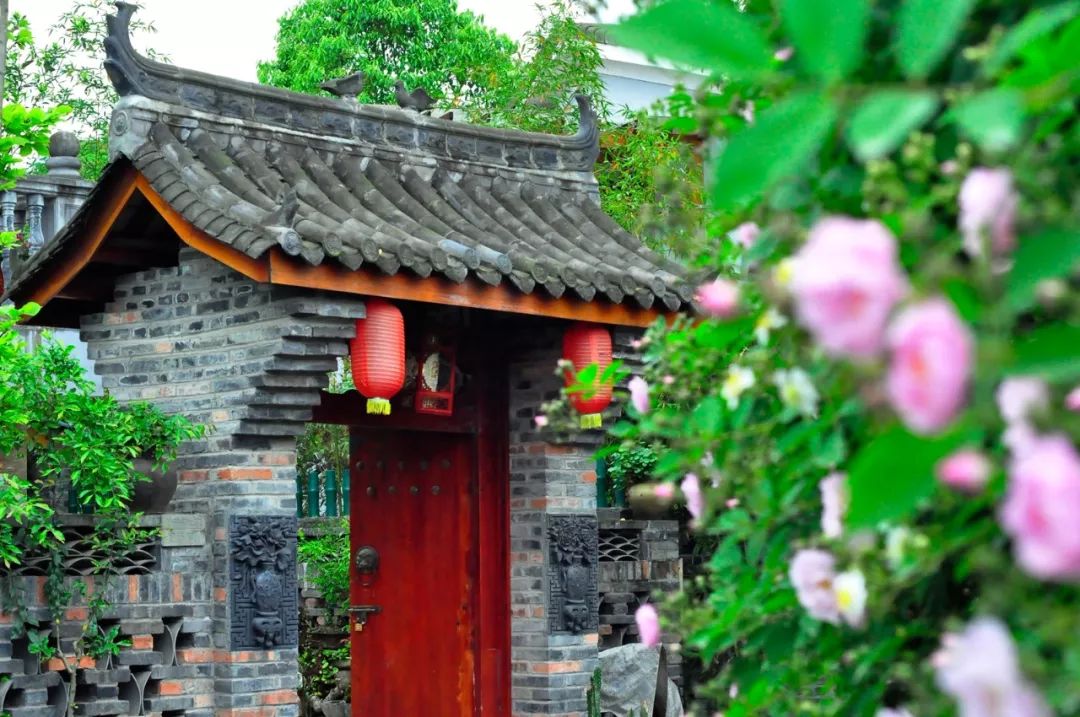 幸福公社一半世界一半是家