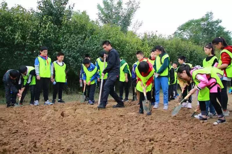 桐淮小学在行知塾综合实践基地开展"劳动者的赞歌"主题实践活动