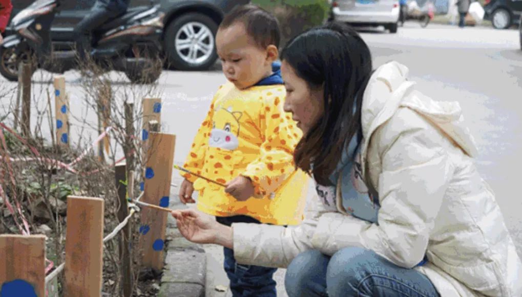 在营造过程中,刘悦来也听到过不同声音:别家的花园干干净净,四季碧绿