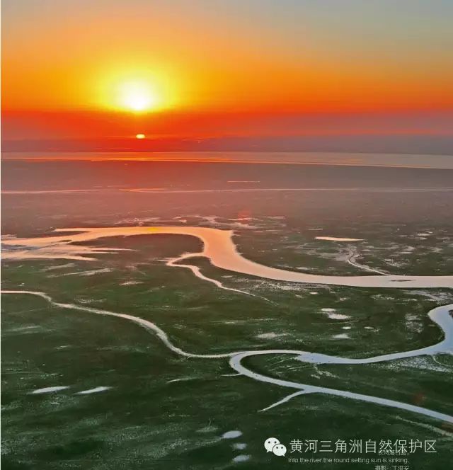 白日依山尽,黄河入海流",黄河历经惊涛骇浪的万千跌宕,越过九曲连环