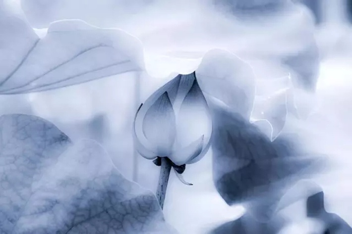 解读:什么是长焦镜头的空间压缩感?如何运用