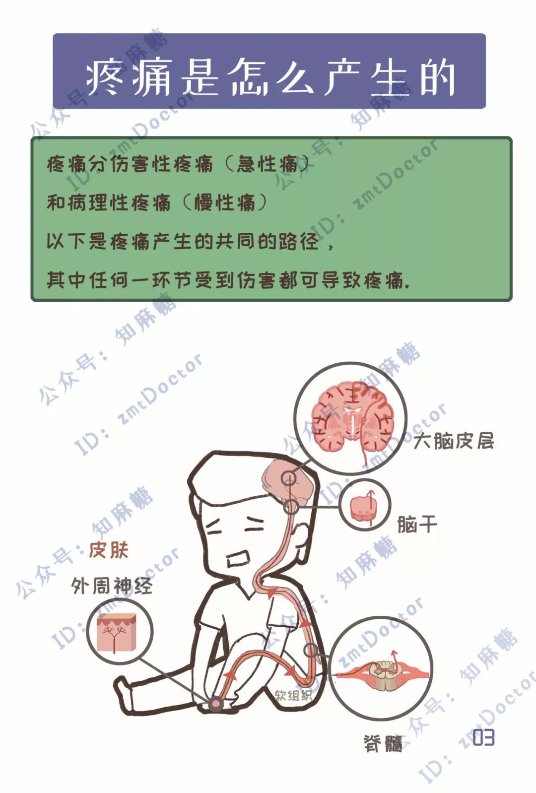 下载电子版 ||疼痛漫画科普宣传册！助力宣传中国疼痛周！_印刷