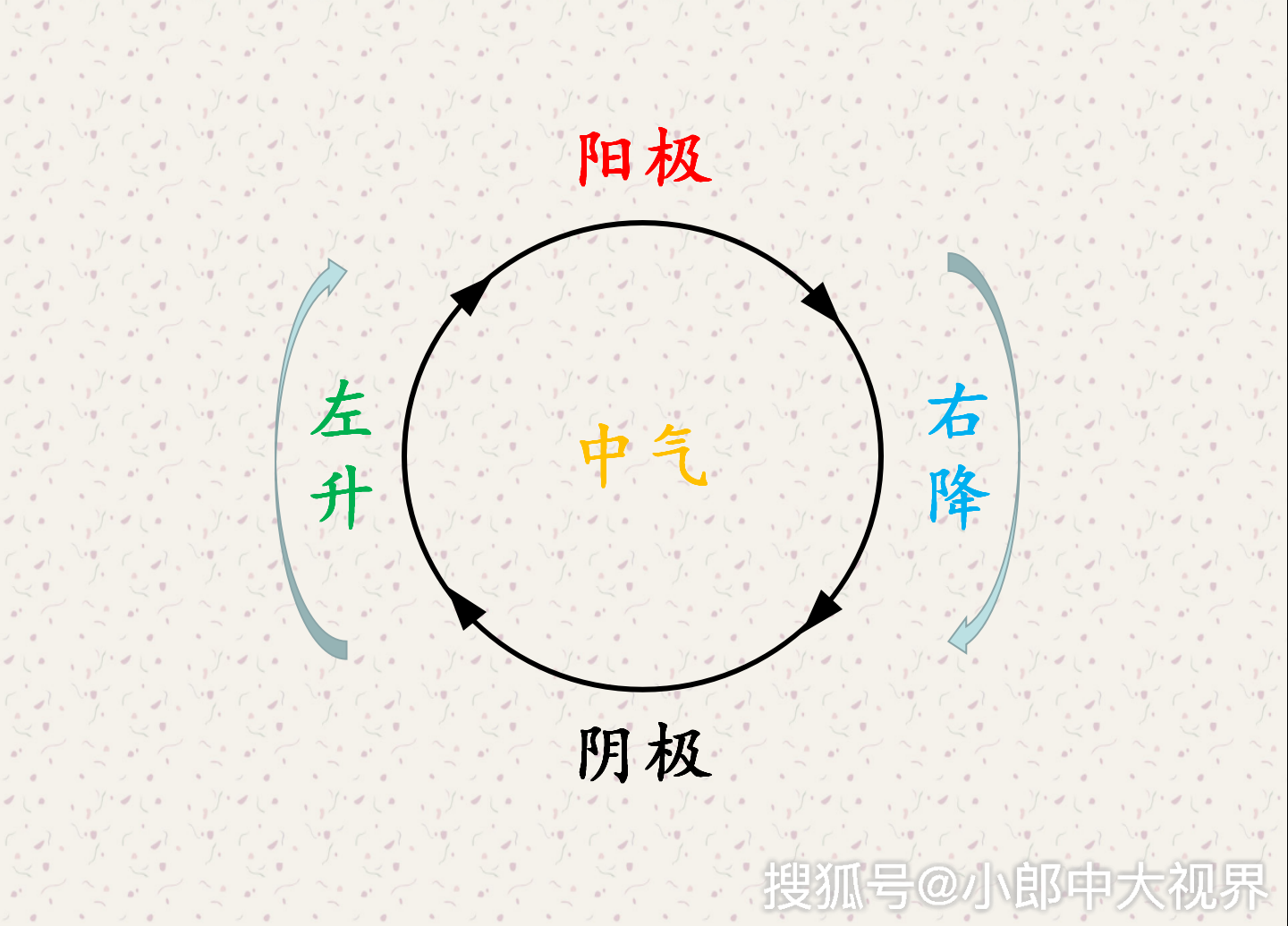 中医奇书四圣心源解读用阴阳五行的运动推演人体脏腑生成