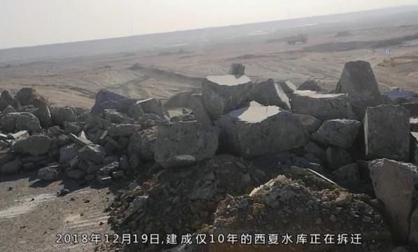 宁夏杨德敏:八年呕心沥血治理千亩荒滩地 树茂草绿时却付诸东流