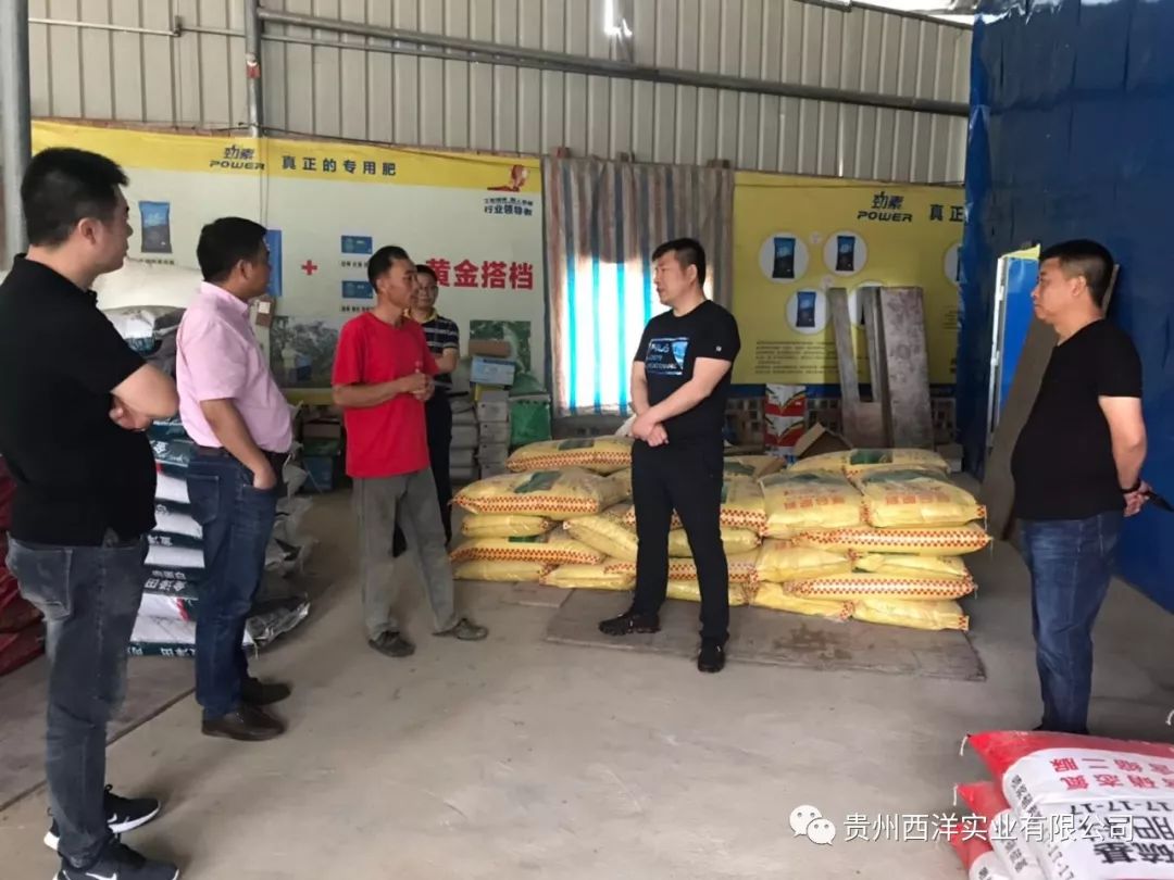 西洋实业不忘初心专心专注致力中国农业优质高产