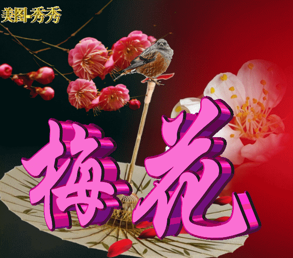 梅花动态图片,雪梅花唯美动态图片:邀月窗前共