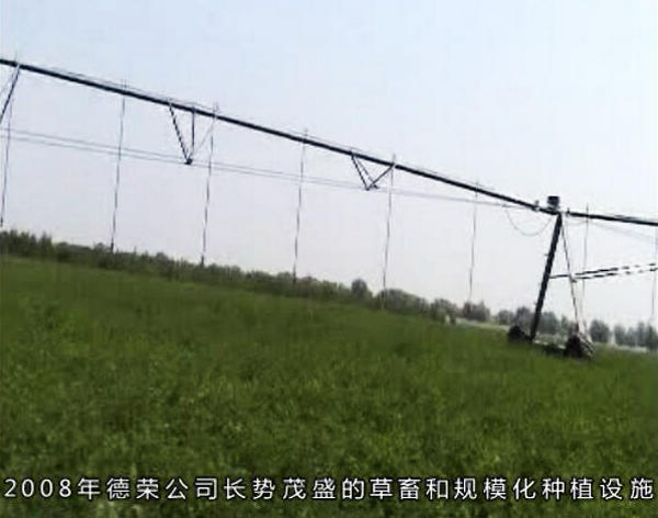 宁夏杨德敏:八年呕心沥血治理千亩荒滩地 树茂草绿时却付诸东流
