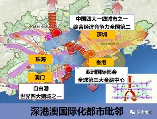 珠港澳经济总量_珠港澳大桥图片