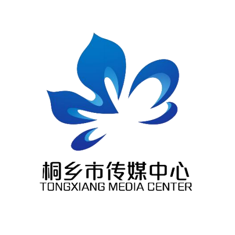 桐乡网站推广方案 来自搜狐网