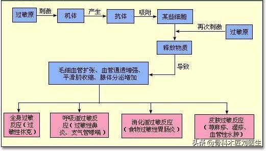 喝蒲公英肚子疼怎么办