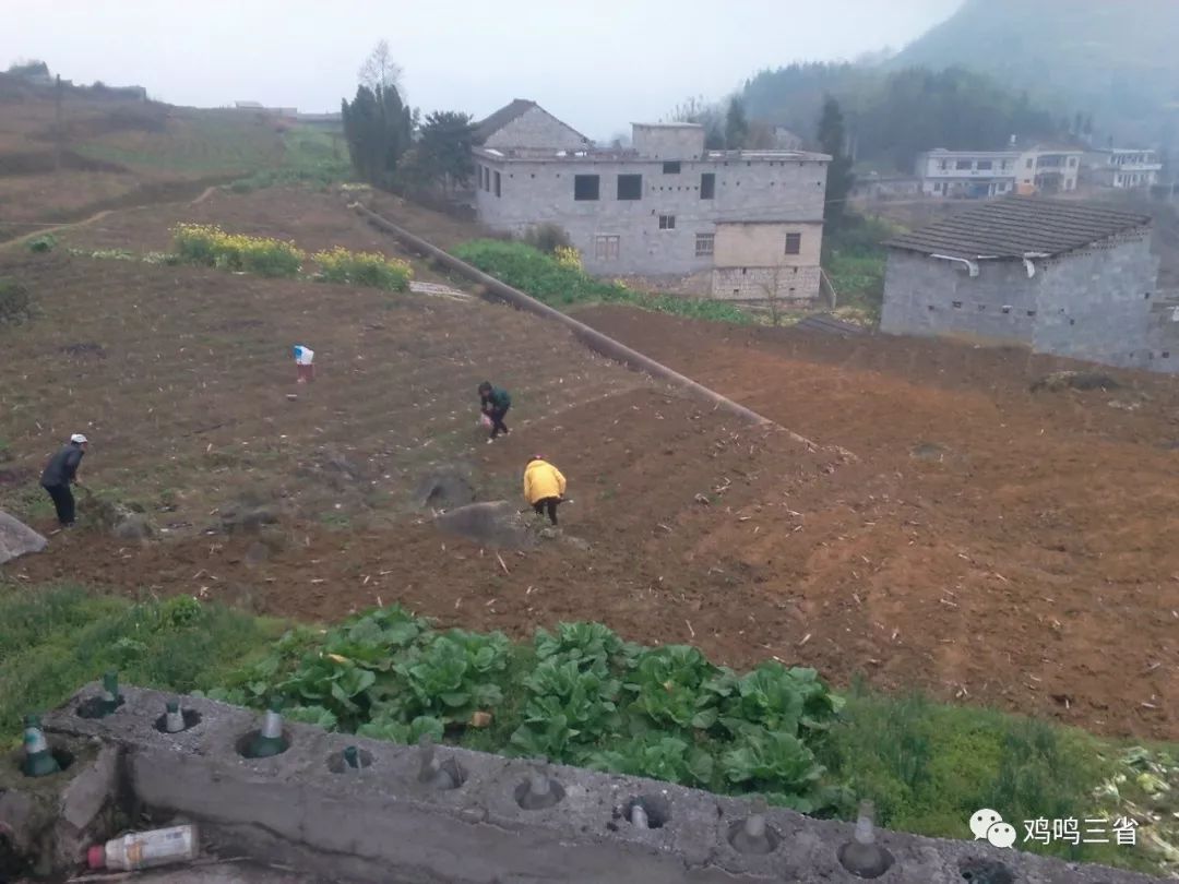 新场周家湾,以前是出名的磂磺厂,矿石来源于堰塘水井湾,大海子