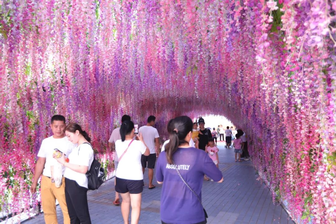 超美超梦幻来罗湖打卡星空长廊紫藤花海网红美食