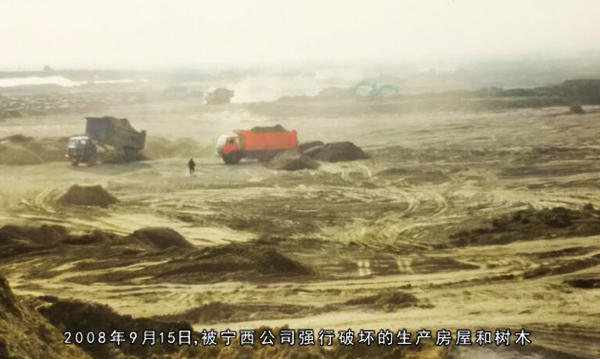 宁夏杨德敏:八年呕心沥血治理千亩荒滩地 树茂草绿时却付诸东流