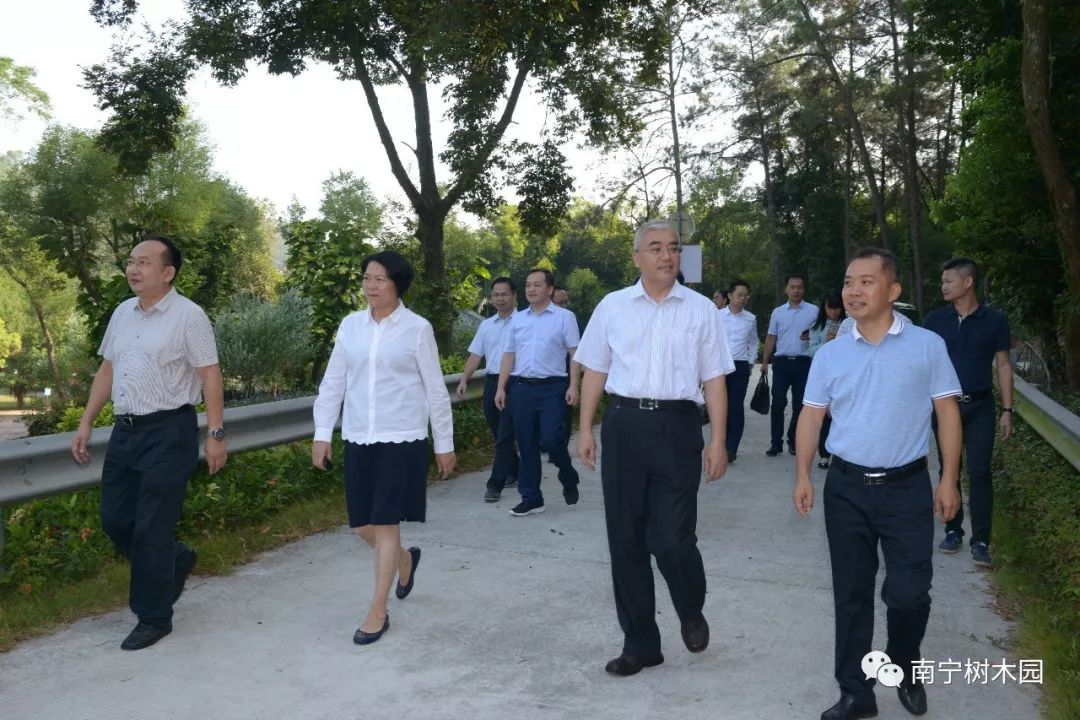 自治区党委常委,副主席严植婵到南宁树木园视察指导工作