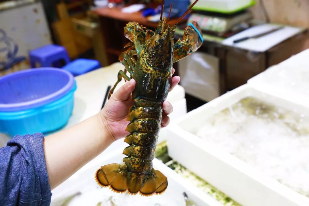 藏在成都二环的地下市场,海鲜玩爆青石桥!