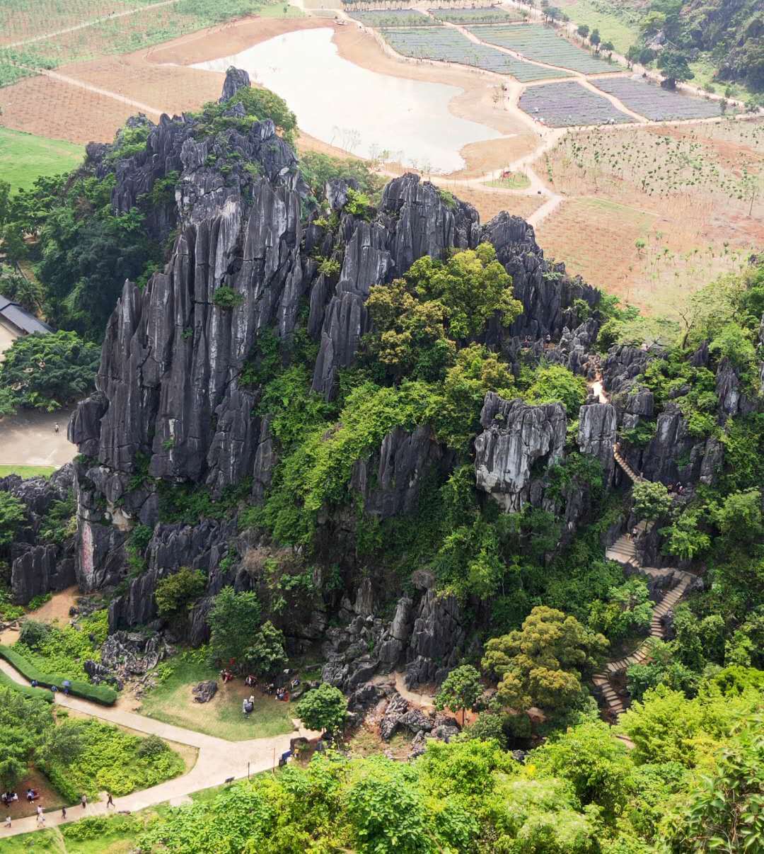 春湾石林,又名"莲花洞石林",位于阳春市春湾镇春湾风景区内,占地250