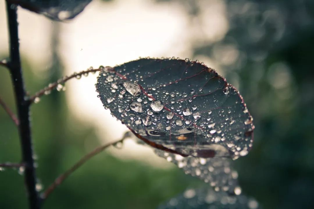 雨落成诗,你身边的雨,下成了哪首诗?