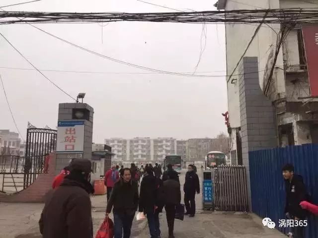 涡阳县多少人口_涡阳是几线城市