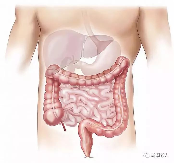 每天揉腹五分钟 睡眠又快又稳 还能消除便秘 减去小肚腩 腹部