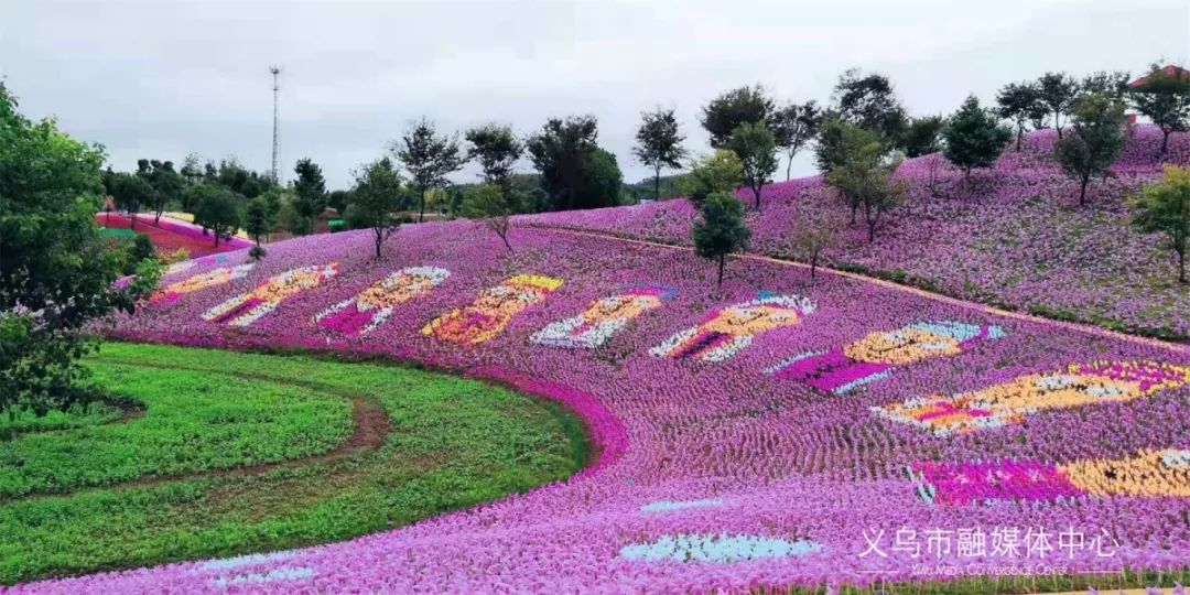 义乌后宅花间花海,"红糖飘香"美丽乡村精品线上榜!