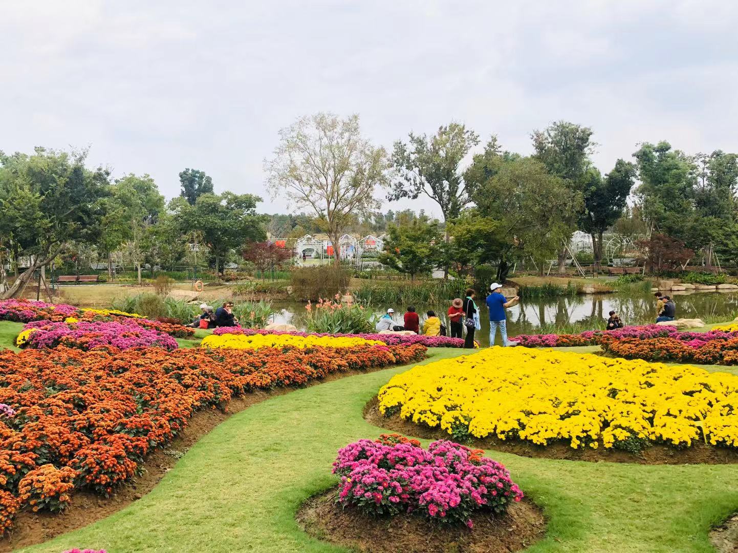 南京旅游:赏花观景到"梦华苑",这里有"爱情的味道"_溧水