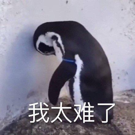我太难了表情包企鹅版