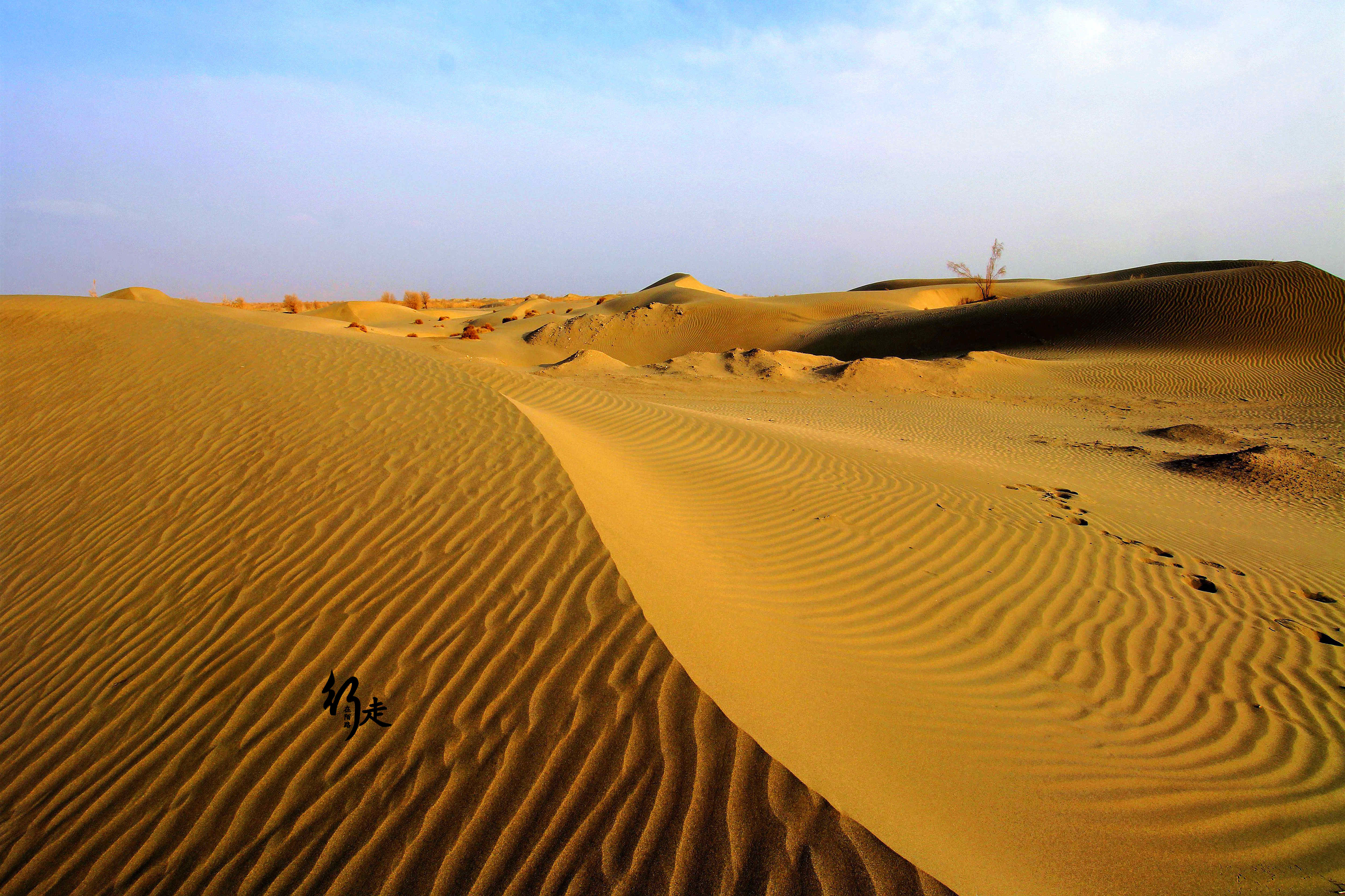 世界第二大沙漠——阿拉伯沙漠