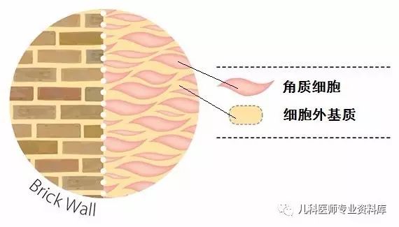 11岁长湿疹怎么办