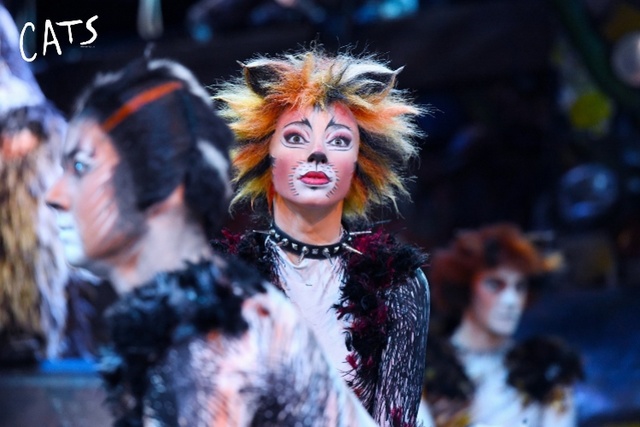 原版音乐剧《猫》演到20日，接下来期待《贝隆夫人》