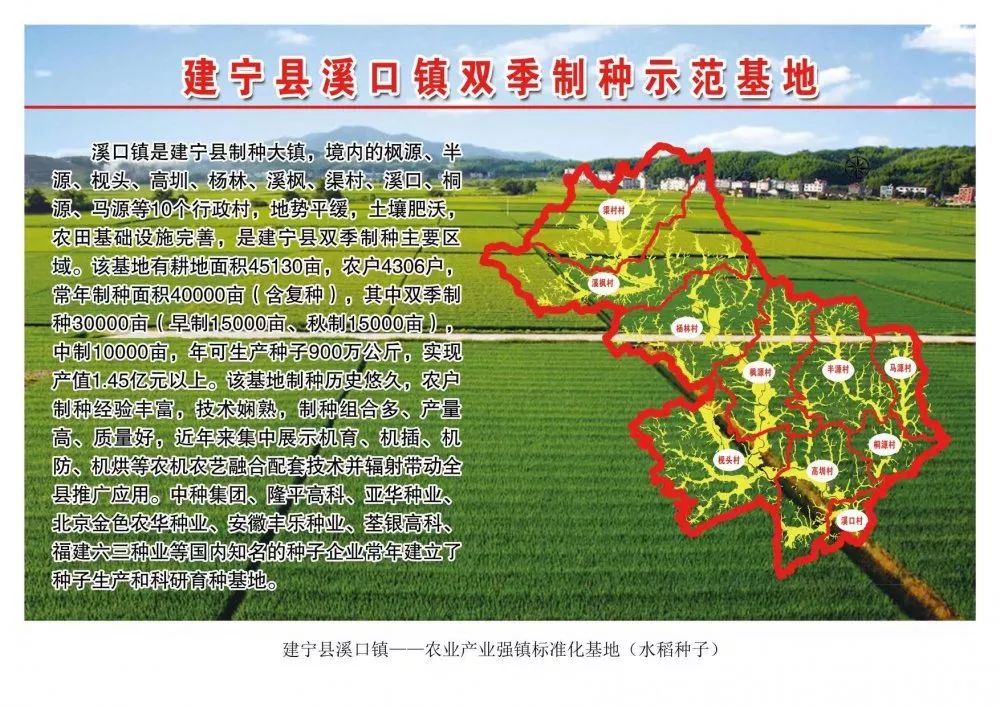 【乡村振兴】建宁溪口镇借助生态农业让村子更美,百姓