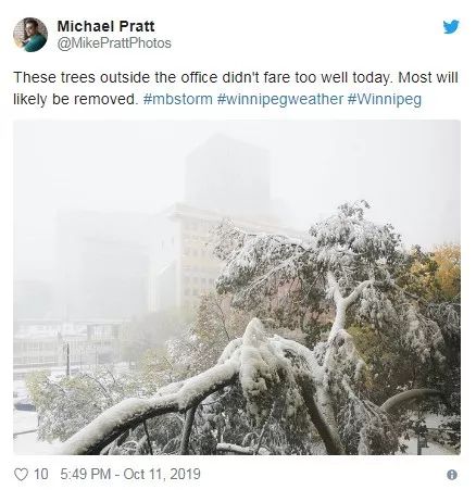 70cm暴雪正席卷加拿大部分地区!多伦多将在这一天迎来初雪.