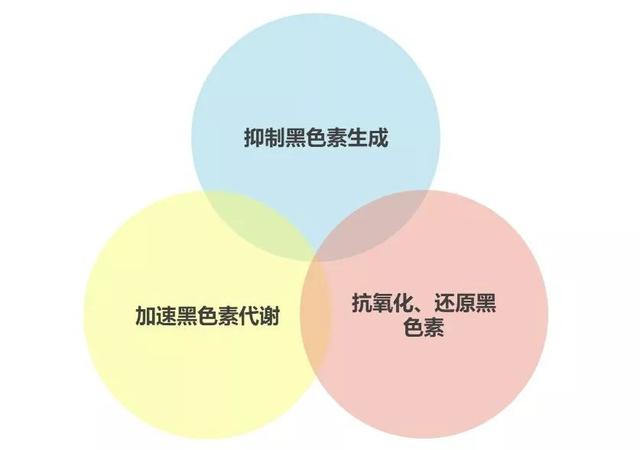 530b032872e44ad484a91e0141614e0f.jpeg