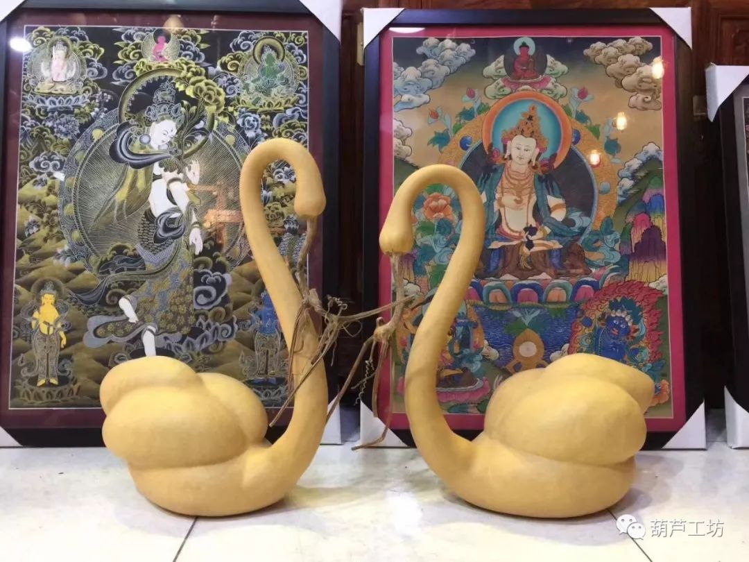 各式各样的葫芦