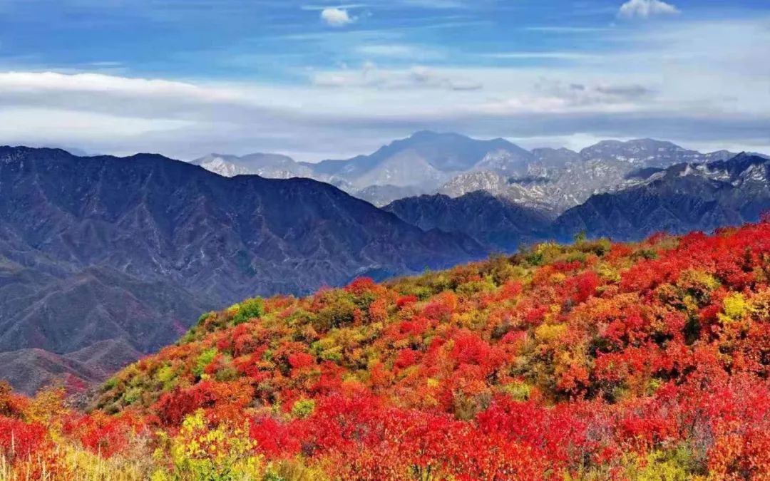 图片来源丨新京报乡村 妙峰山是距离北京最近的海拔超过1000米的山峰