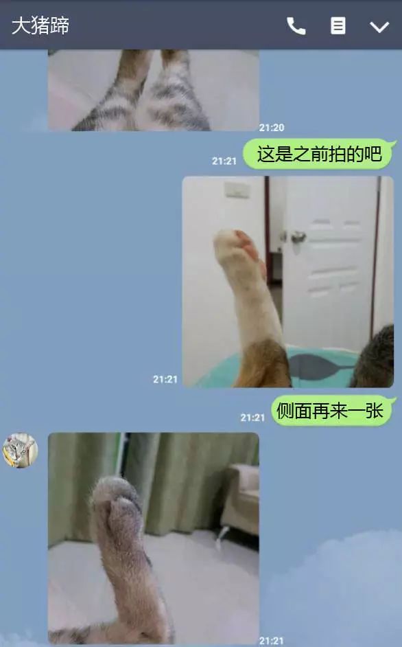 6b1f0ead0eca45699bbf9de36e513d2a.jpeg