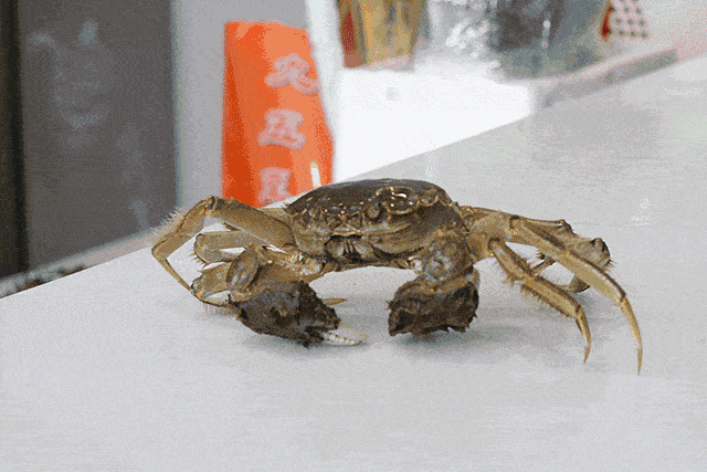 73eb4171ef224c8f8eba9d104e969d1d.gif