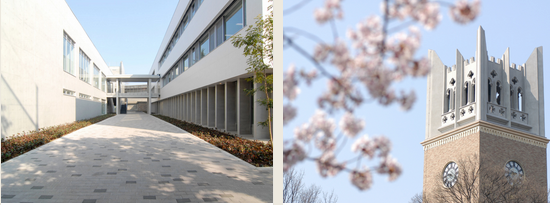 日本高中留学早稲田大学高等学校 课程