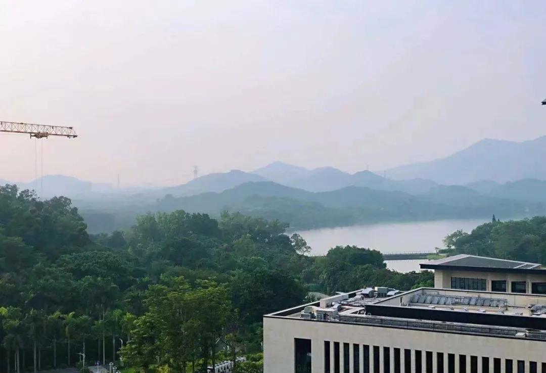 猝不及防！南山金众麒麟公馆价格曝光，12日开盘！_户型