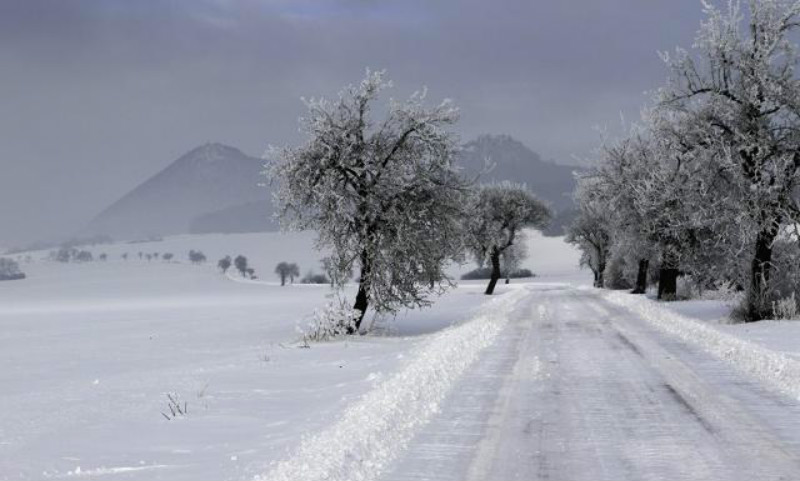 雪什么梅成语_马什么梅