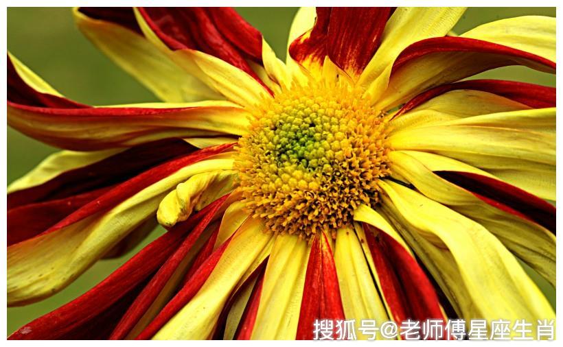 步入10月,幸福来敲门前途一片美好,万事大利,风光无限