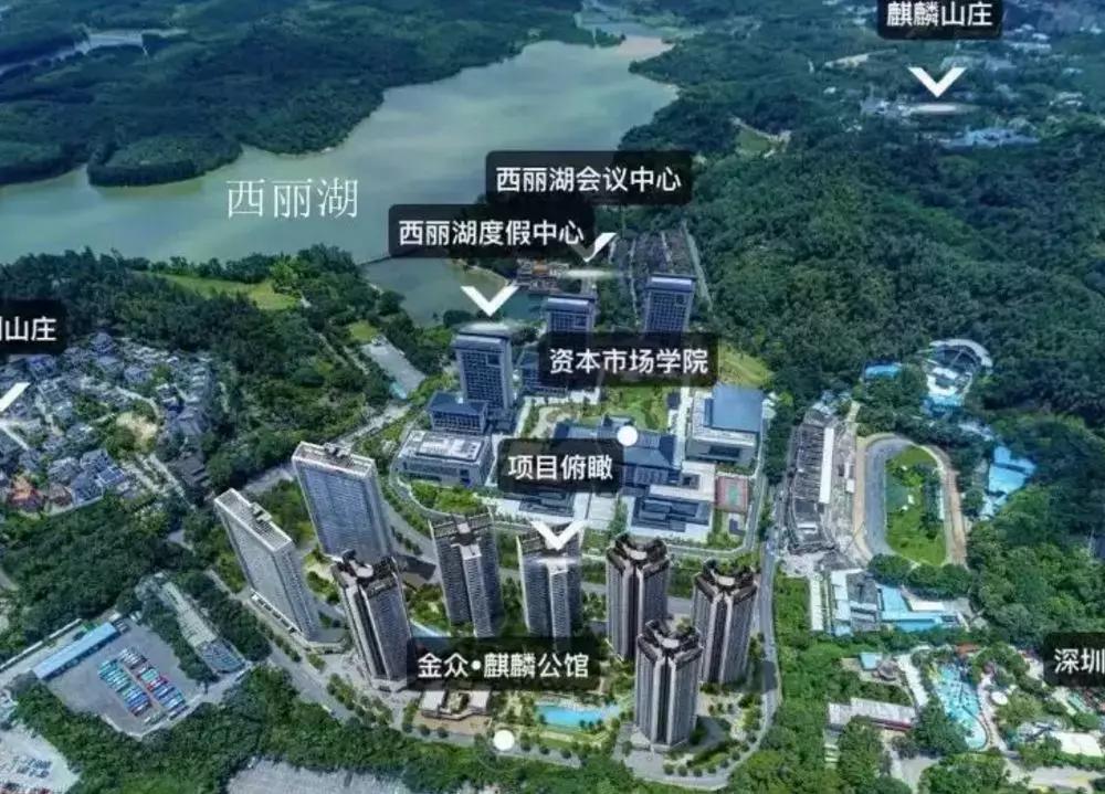 楼王大卖！有人一次性付全款！刚刚，南山金众麒麟公馆开盘！-搜狐大视野-搜狐新闻