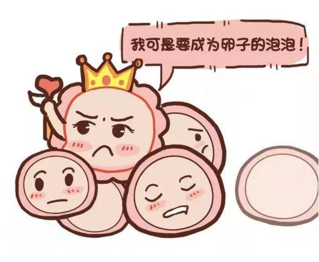 如何知道自己的排卵期 c8b38a93f3a7454d9d321ef43e39a34e.jpeg