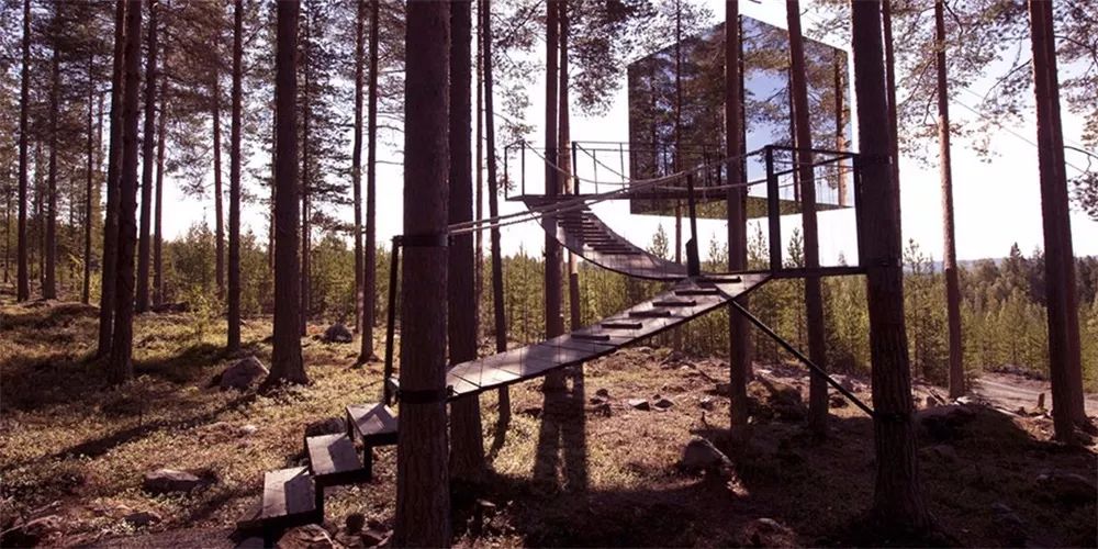 看世界 · 酒店 | 趣味树屋,带你体验住在树上