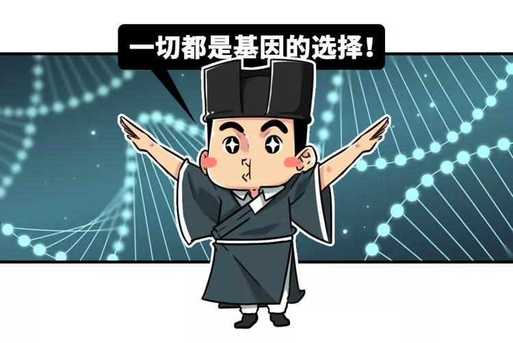 文章配图
